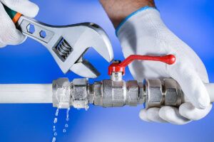 Professional Plumbing Services