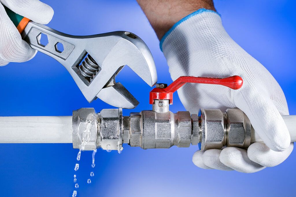 Professional Plumbing Services